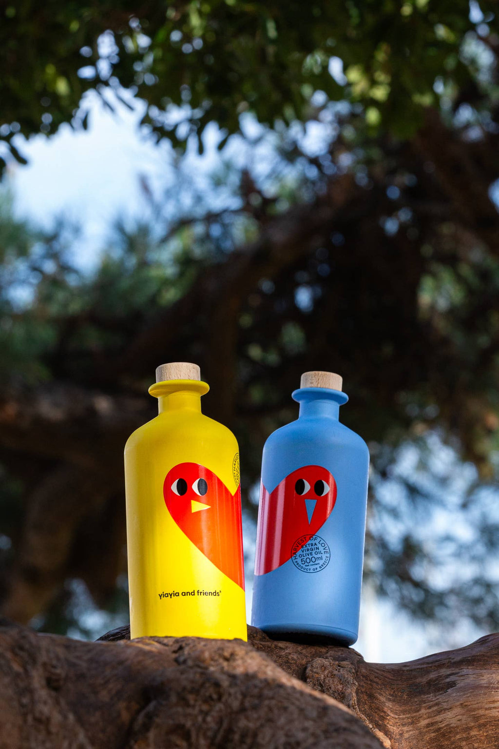 Huile d'olive extra vierge – Récolte d'Amour 500 ml x2