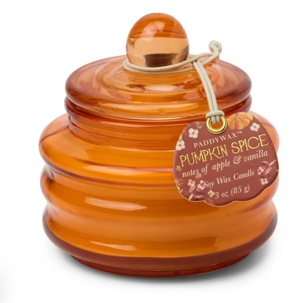 Paddywax Bougie glass - orange - Pumpkin Spice