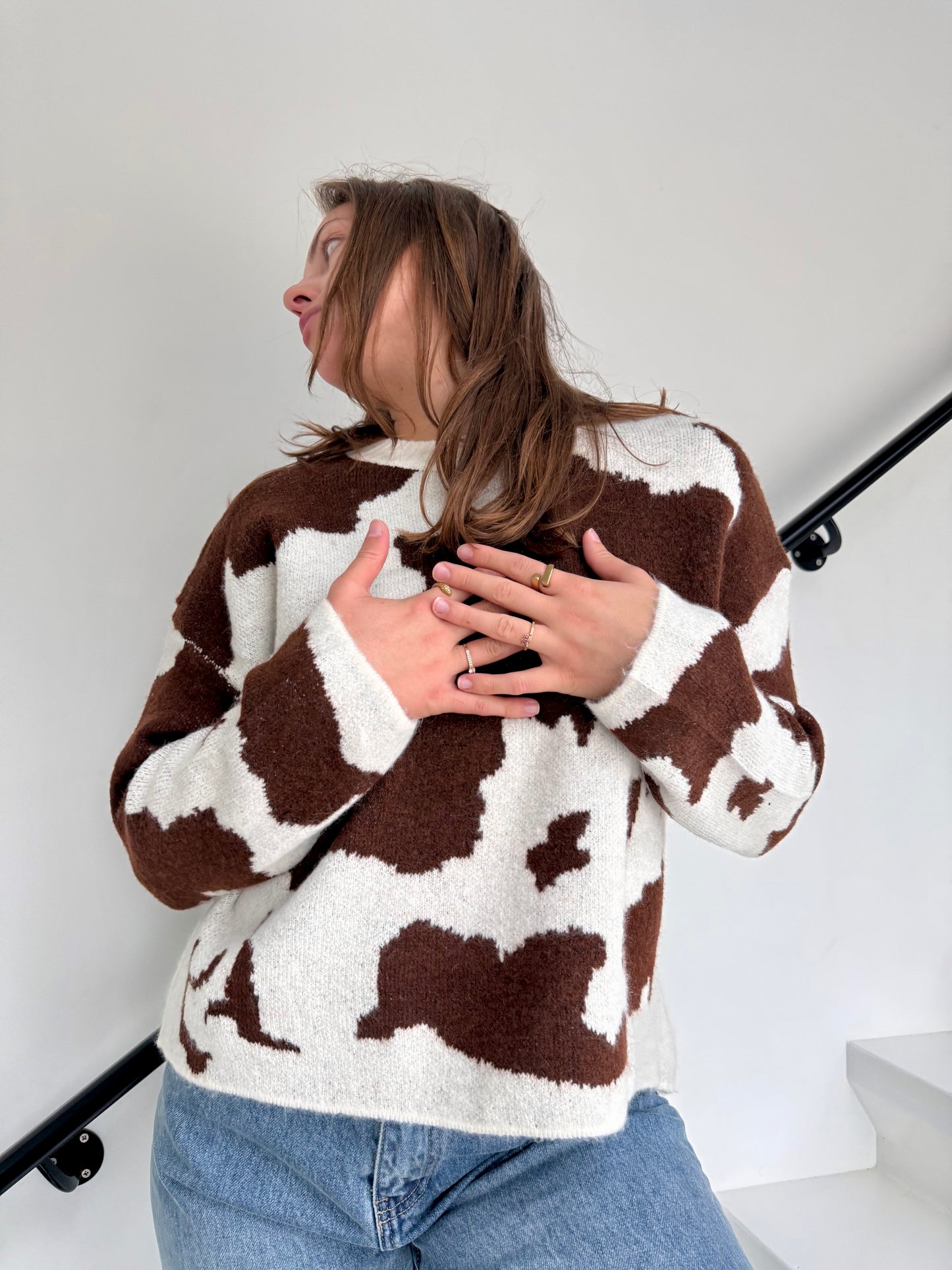 Pull Sienne  marron/beige