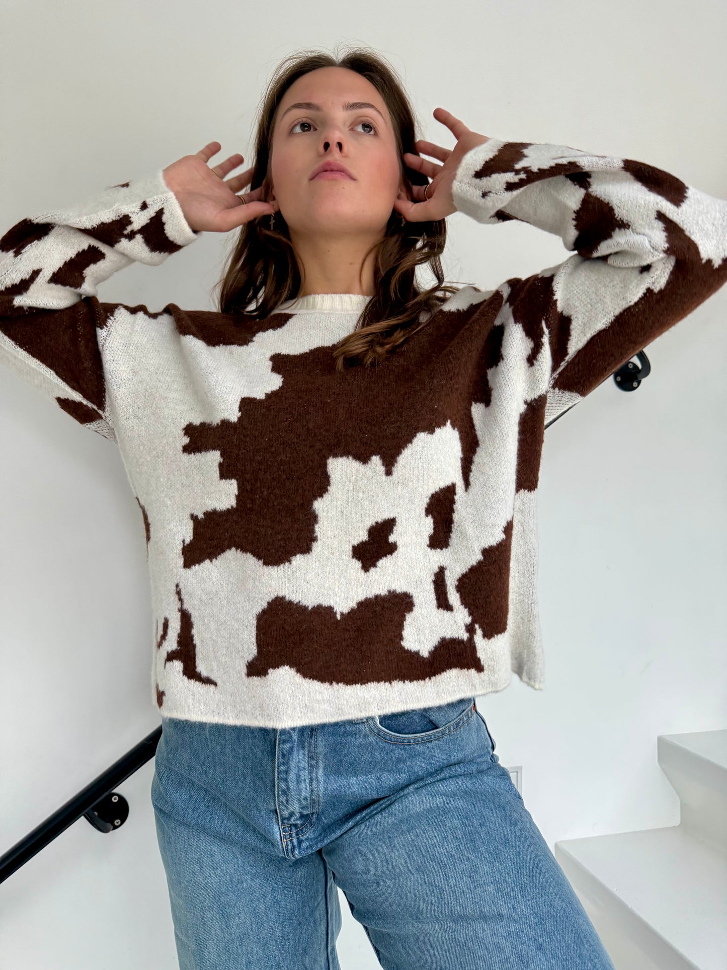 Pull Sienne  marron/beige