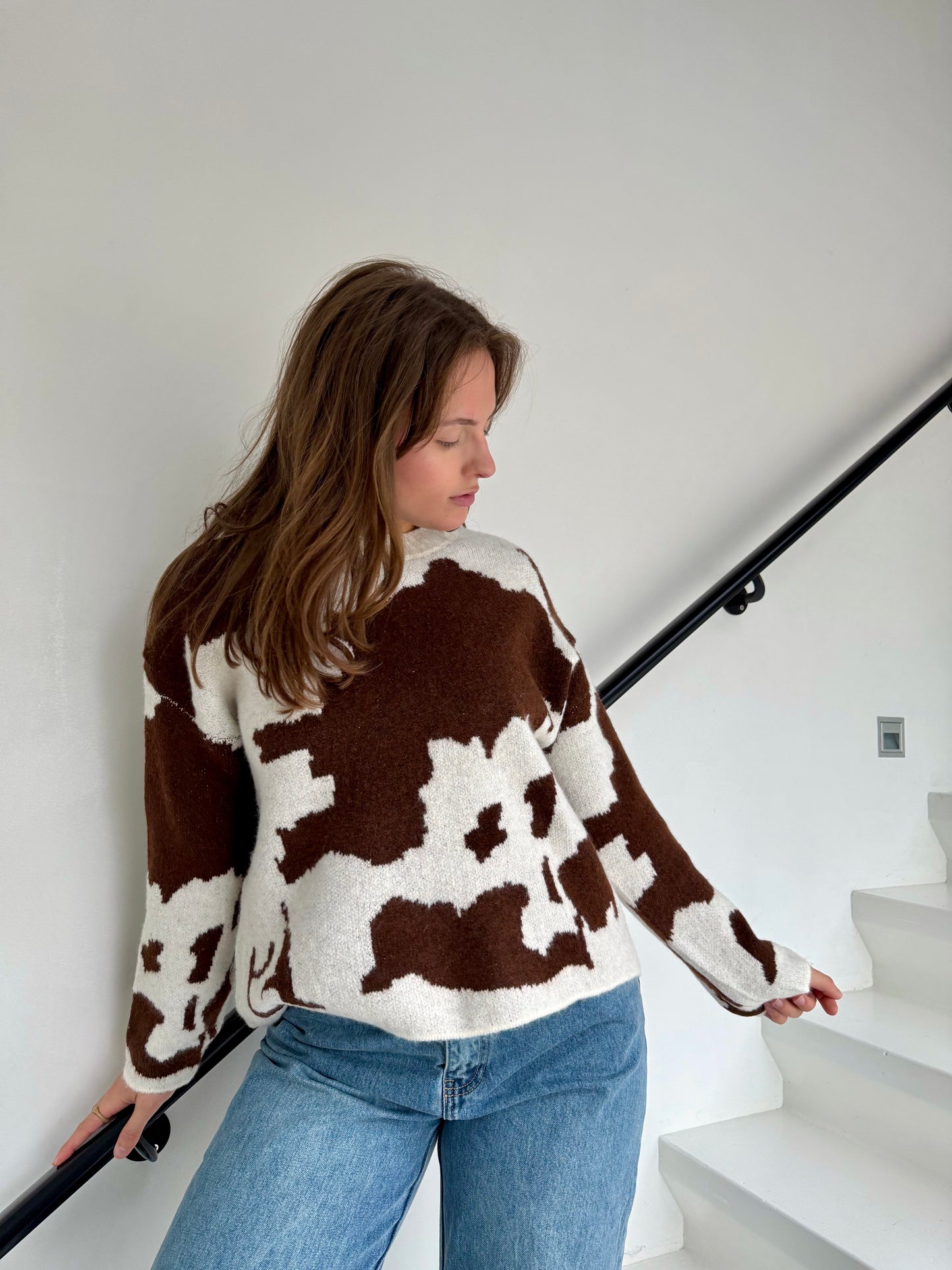 Pull Sienne  marron/beige