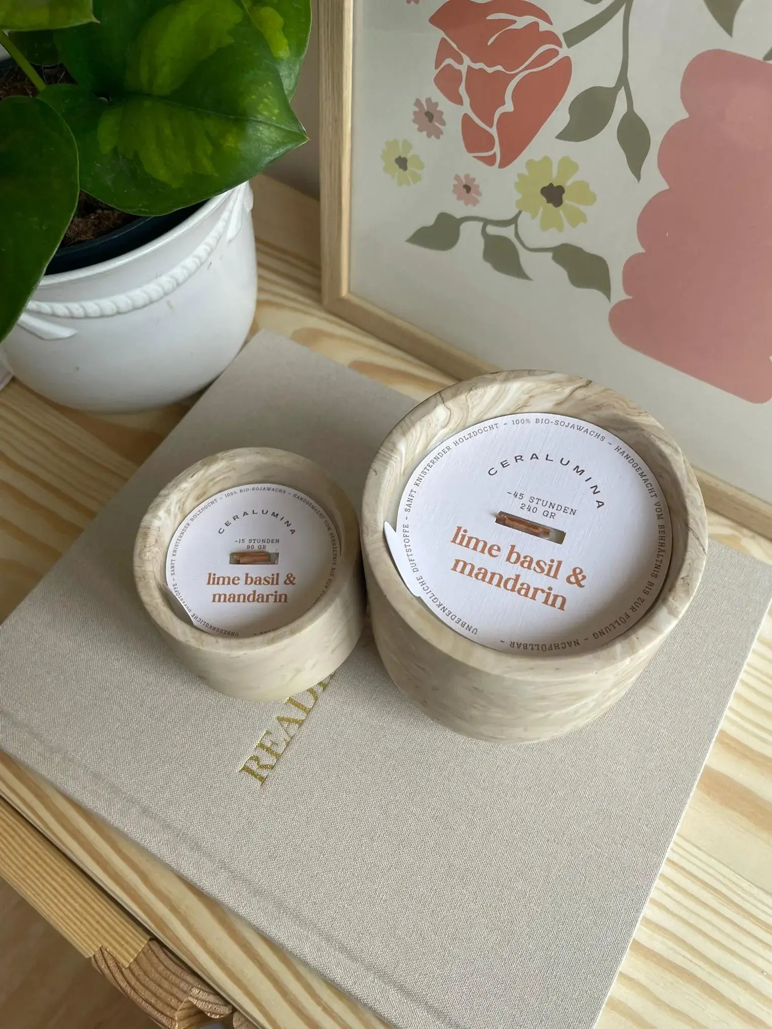 Bougie parfumée 'citron vert basilic & mandarine' en cire de soja: Grand (240g) - senteur parfumée Kefi Concept Store
