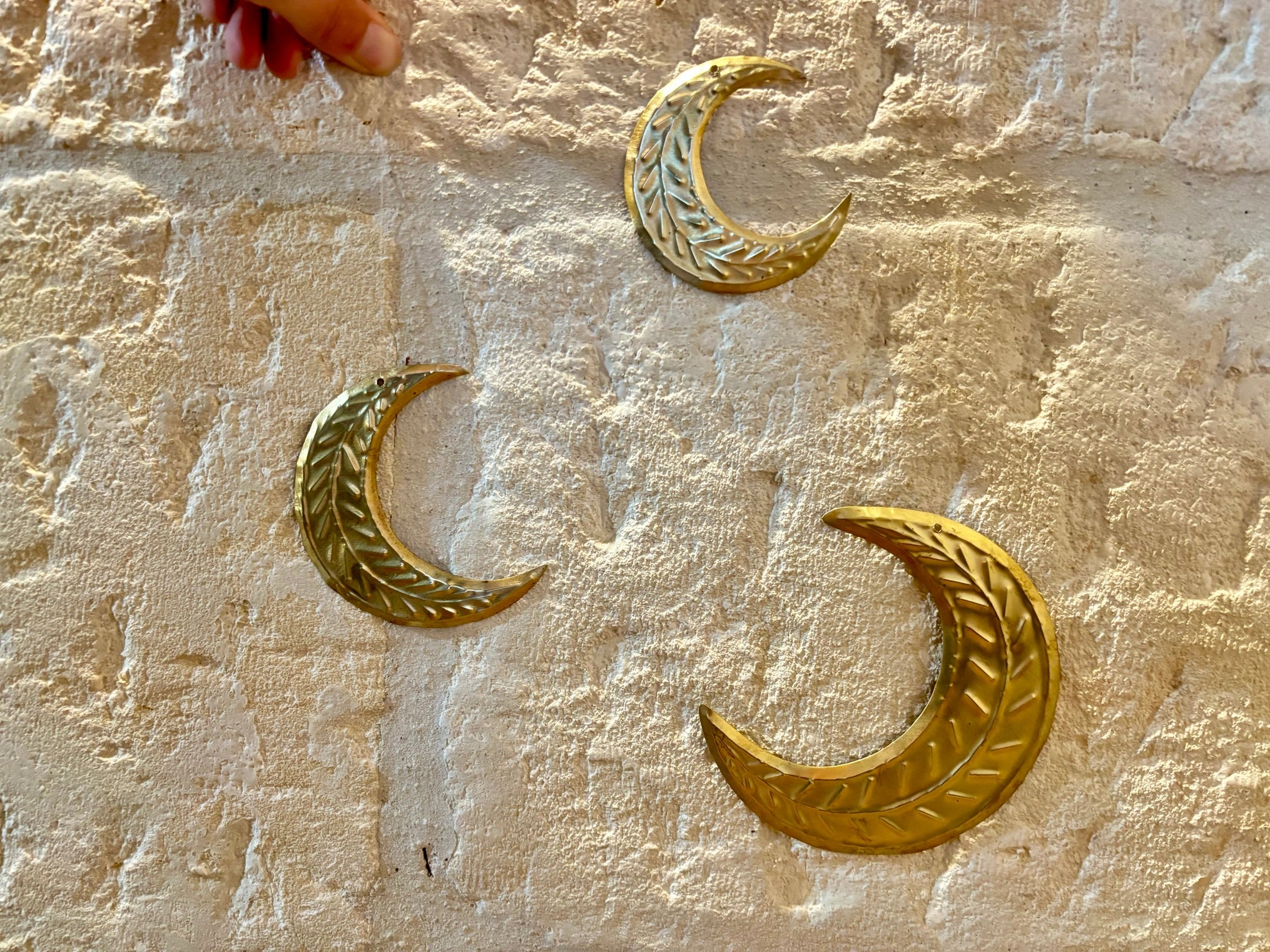 Lune Melbourne M